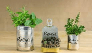 Turn Used Candle Jars Into Mini Planters
