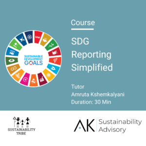 SDG Reporting Simplified